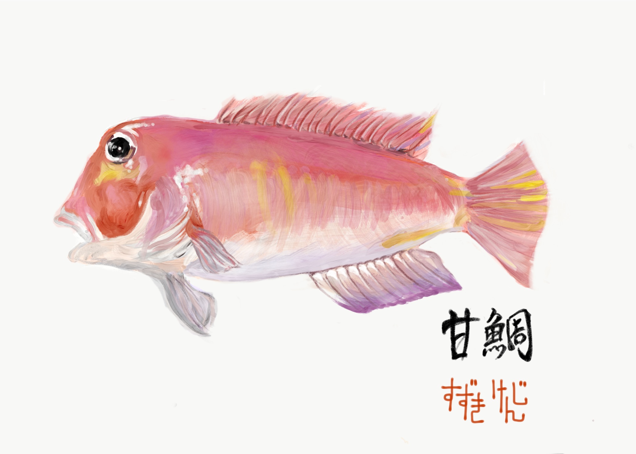 お魚イラスト 初心者の釣りブログ